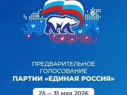 Электронное предварительное голосование партии «Единая Россия»