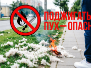 Осторожно: тополиный пух – потенциальный источник пожара!