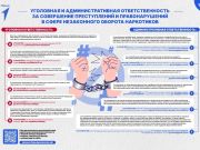Ответственность в сфере незаконного оборота наркотических средств