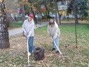 В Калининском районе активно проходят осенние субботники