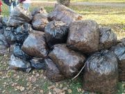 В Калининском районе активно проходят осенние субботники