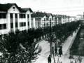Дома на улице Сталина в микрорайоне ЧГРЭС (1930-е гг.)